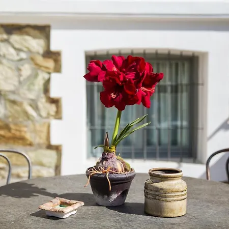 Villa #Classicvillas, Luxurious Historic Villa